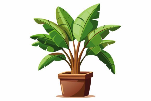 The Summer Banana Leaf Plant: More Than Just a Tropical Icon